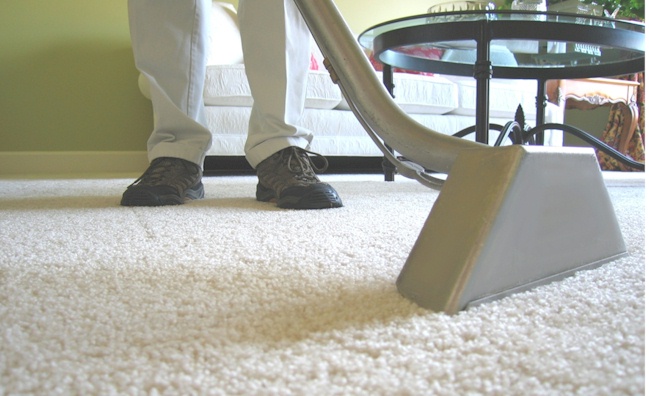 yelp carpet cleaning troy il